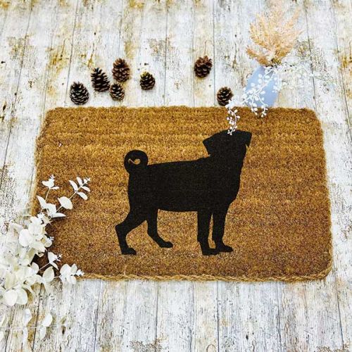 Best indoor doormat for dogs best sale